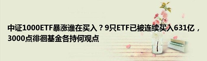 中证1000ETF暴涨谁在买入？9只ETF已被连续买入631亿，3000点徘徊基金各持何观点