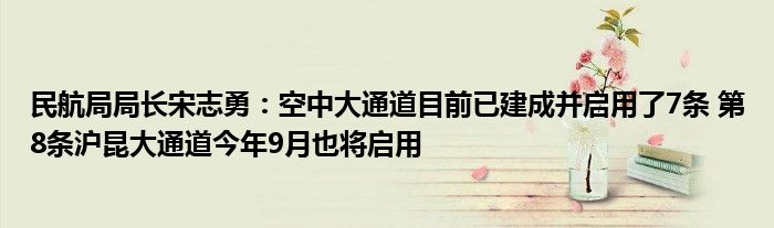 民航局局长宋志勇：空中大通道目前已建成并启用了7条 第8条沪昆大通道今年9月也将启用