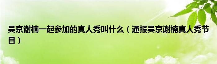 吴京谢楠一起参加的真人秀叫什么（通报吴京谢楠真人秀节目）