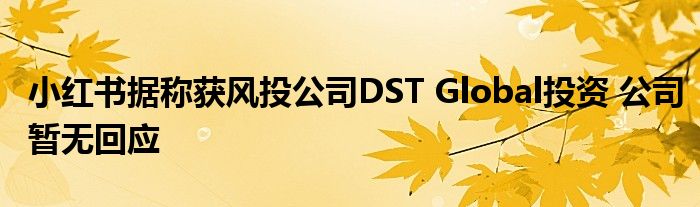 小红书据称获风投公司DST Global投资 公司暂无回应