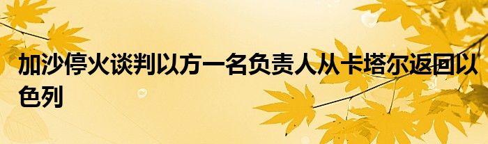 加沙停火谈判以方一名负责人从卡塔尔返回以色列