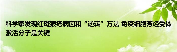 科学家发现红斑狼疮病因和“逆转”方法 免疫细胞芳烃受体激活分子是关键