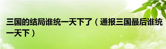 三国的结局谁统一天下了（通报三国最后谁统一天下）