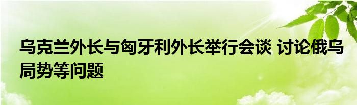 乌克兰外长与匈牙利外长举行会谈 讨论俄乌局势等问题