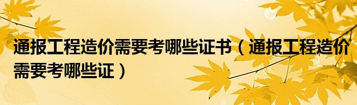 通报工程造价需要考哪些证书（通报工程造价需要考哪些证）