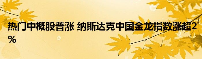 热门中概股普涨 纳斯达克中国金龙指数涨超2%