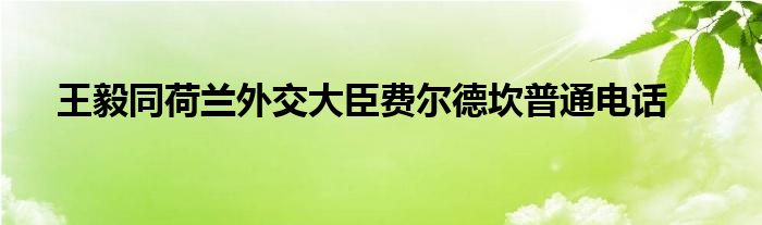 王毅同荷兰外交大臣费尔德坎普通电话