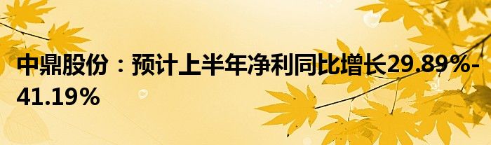 中鼎股份：预计上半年净利同比增长29.89%-41.19%