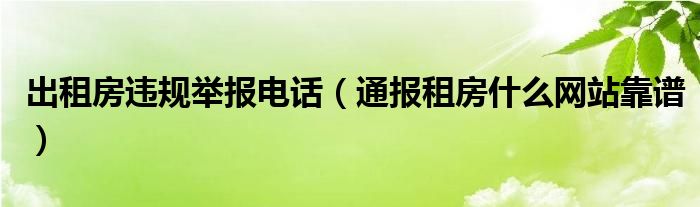 出租房违规举报电话（通报租房什么网站靠谱）