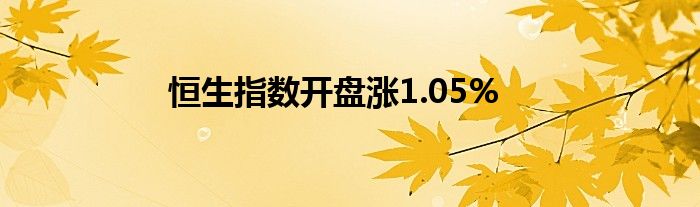 恒生指数开盘涨1.05%