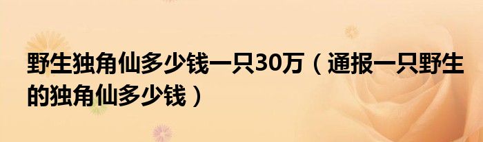 野生独角仙多少钱一只30万（通报一只野生的独角仙多少钱）