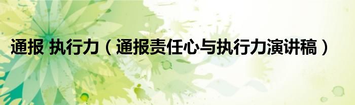 通报 执行力（通报责任心与执行力演讲稿）