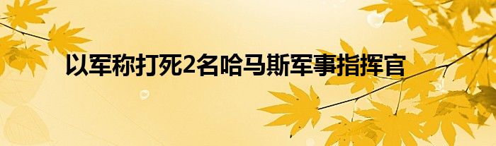 以军称打死2名哈马斯军事指挥官