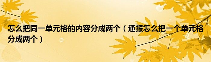 怎么把同一单元格的内容分成两个（通报怎么把一个单元格分成两个）