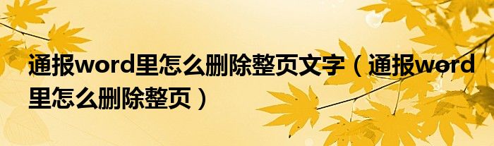 通报word里怎么删除整页文字（通报word里怎么删除整页）