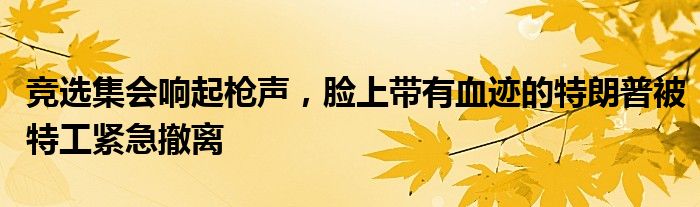 竞选集会响起枪声，脸上带有血迹的特朗普被特工紧急撤离