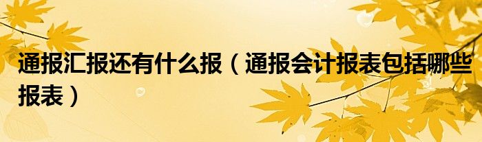 通报汇报还有什么报（通报会计报表包括哪些报表）