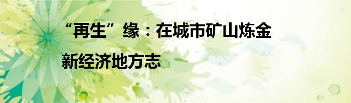 “再生”缘：在城市矿山炼金 | 新经济地方志