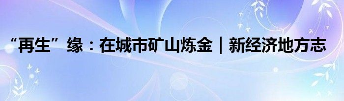 “再生”缘：在城市矿山炼金｜新经济地方志