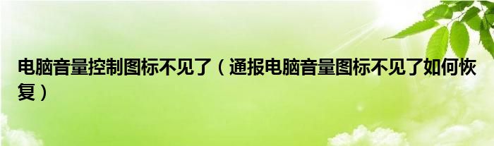 电脑音量控制图标不见了（通报电脑音量图标不见了如何恢复）