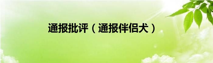 通报批评（通报伴侣犬）