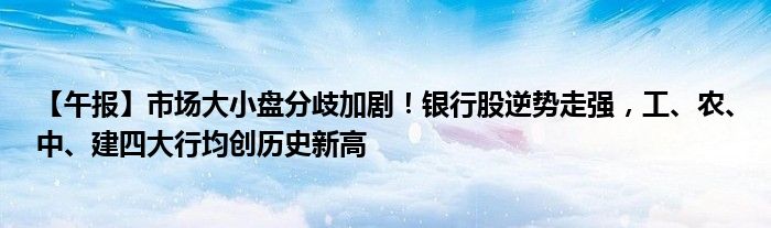 【午报】市场大小盘分歧加剧！银行股逆势走强，工、农、中、建四大行均创历史新高