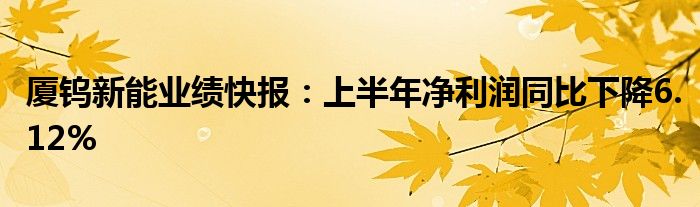 厦钨新能业绩快报：上半年净利润同比下降6.12%