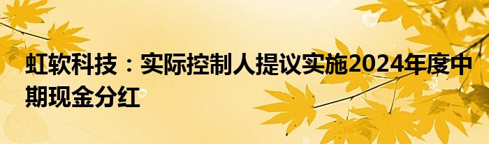 虹软科技：实际控制人提议实施2024年度中期现金分红