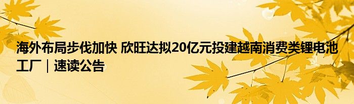 海外布局步伐加快 欣旺达拟20亿元投建越南消费类锂电池工厂｜速读公告