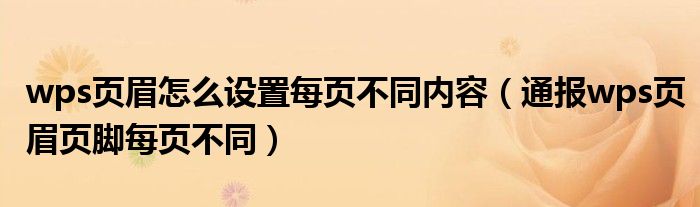 wps页眉怎么设置每页不同内容（通报wps页眉页脚每页不同）