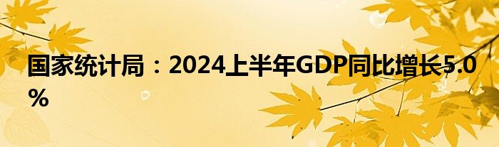 国家统计局：2024上半年GDP同比增长5.0%