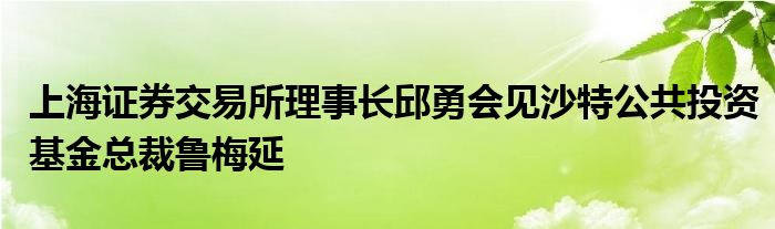 上海证券交易所理事长邱勇会见沙特公共投资基金总裁鲁梅延