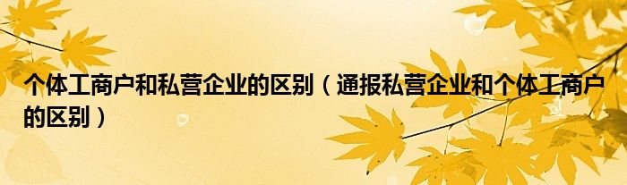 个体工商户和私营企业的区别（通报私营企业和个体工商户的区别）