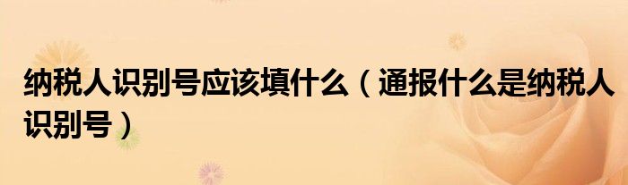 纳税人识别号应该填什么（通报什么是纳税人识别号）