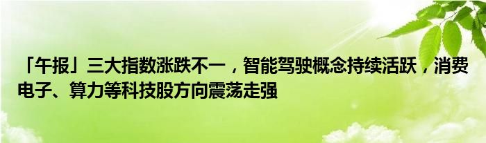 「午报」三大指数涨跌不一，智能驾驶概念持续活跃，消费电子、算力等科技股方向震荡走强