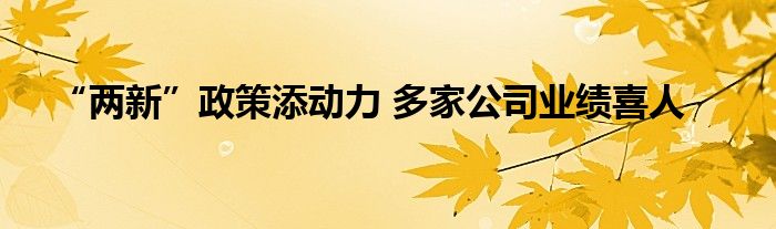 “两新”政策添动力 多家公司业绩喜人