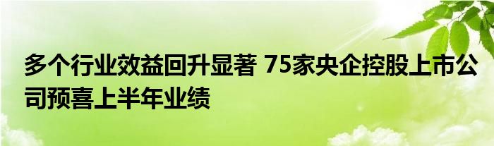 多个行业效益回升显著 75家央企控股上市公司预喜上半年业绩