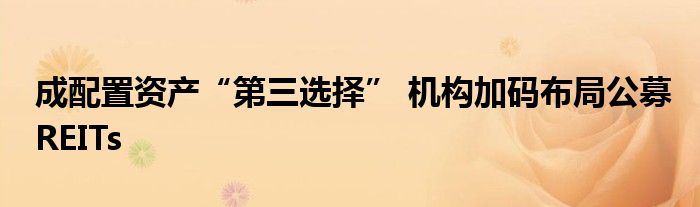 成配置资产“第三选择” 机构加码布局公募REITs