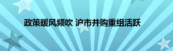 政策暖风频吹 沪市并购重组活跃