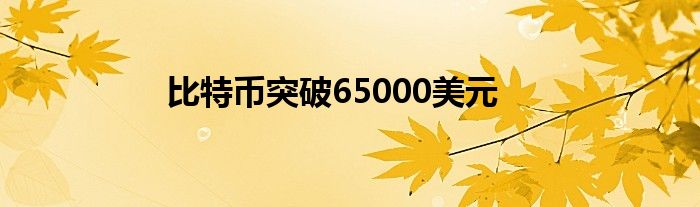 比特币突破65000美元