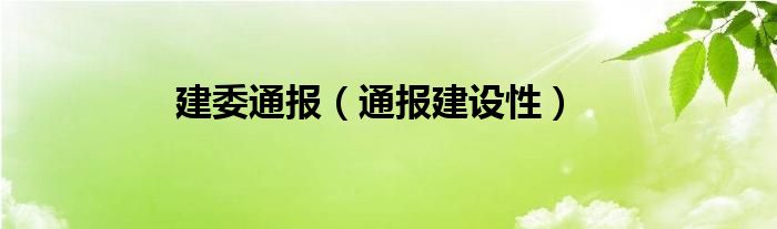 建委通报（通报建设性）