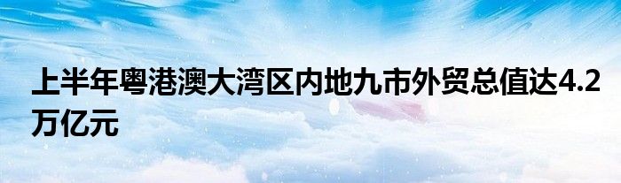 上半年粤港澳大湾区内地九市外贸总值达4.2万亿元