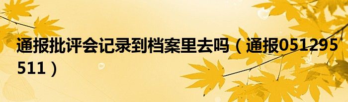 通报批评会记录到档案里去吗（通报051295511）