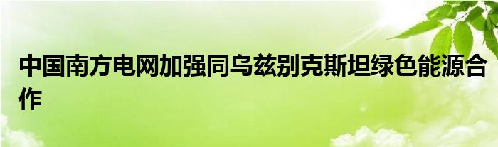 中国南方电网加强同乌兹别克斯坦绿色能源合作