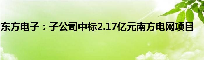 东方电子：子公司中标2.17亿元南方电网项目