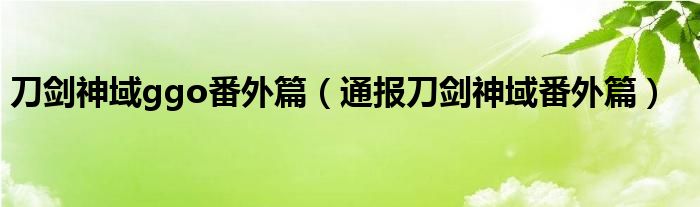 刀剑神域ggo番外篇（通报刀剑神域番外篇）