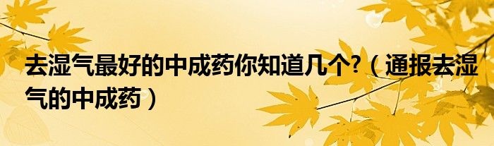 去湿气最好的中成药你知道几个?（通报去湿气的中成药）