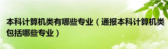 本科计算机类有哪些专业（通报本科计算机类包括哪些专业）