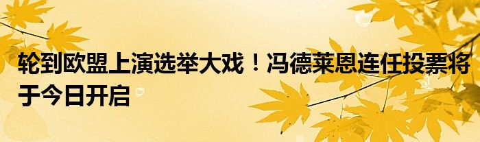 轮到欧盟上演选举大戏！冯德莱恩连任投票将于今日开启