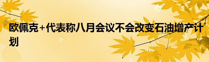 欧佩克+代表称八月会议不会改变石油增产计划